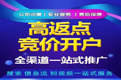 SEM推广代运营策略：从失败到成功的转变